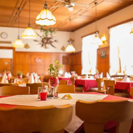 Hotel-restaurant Wiendl 3* Ratyzbona