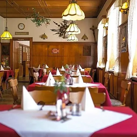Hotel-restaurant Wiendl 3* Regensburg